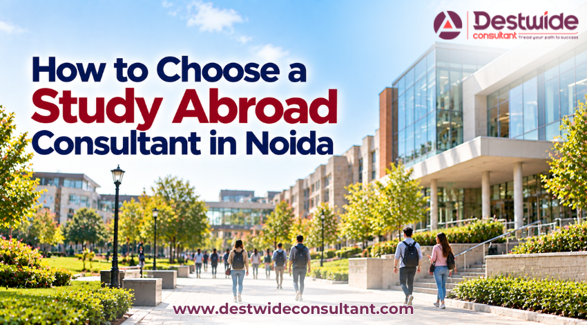 Study Abroad Consultant in Noida